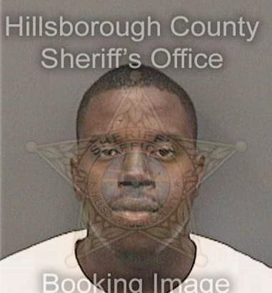 Reginald Levison, - Hillsborough County, FL 