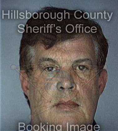 Osmani Martinposada, - Hillsborough County, FL 