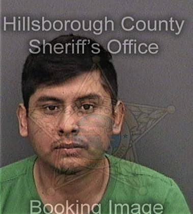 Murray McAnany - Hillsborough County, FL 
