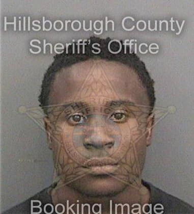 Michael Mitchell - Hillsborough County, FL 