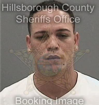 Raul Pachecomartinez, - Hillsborough County, FL 