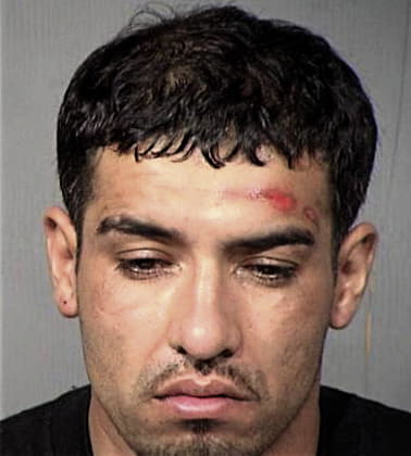 Robert Williams - Maricopa County, AZ 