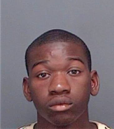 Vincent Bush, - Pinellas County, FL 