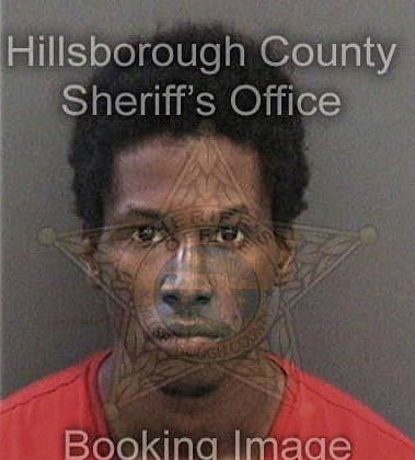 Ryan Cullison, - Hillsborough County, FL 