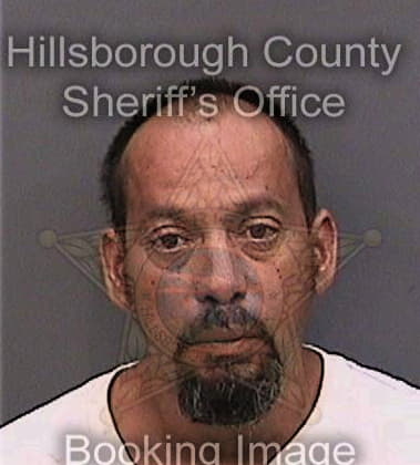 Jesus Diazgarcia, - Hillsborough County, FL 