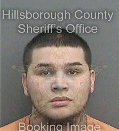 Robert Dixson, - Hillsborough County, FL 