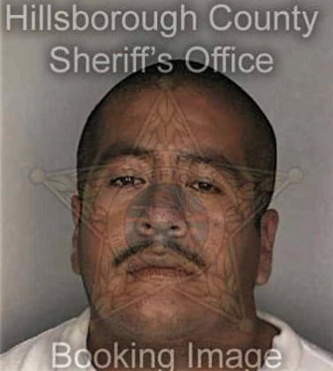 Milton Figueroa, - Hillsborough County, FL 