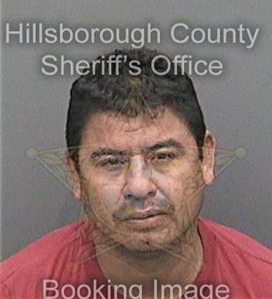 Natanael Figueroa, - Hillsborough County, FL 