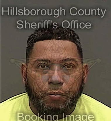 Husam Hasan, - Hillsborough County, FL 