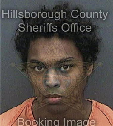 Tyrone Hoard, - Hillsborough County, FL 