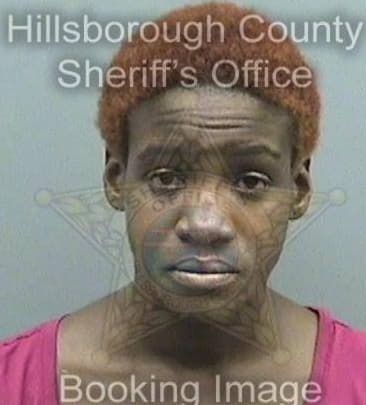 Monalisa Miller - Hillsborough County, FL 