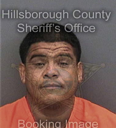 Rolando Perez, - Hillsborough County, FL 