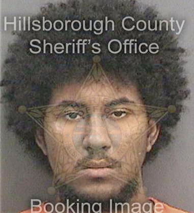 Lawrence Pino, - Hillsborough County, FL 