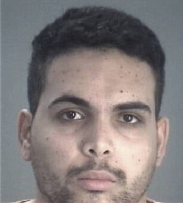 Joshua Borges, - Pasco County, FL 