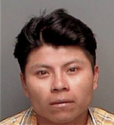 Efrain Cartagena - Pinellas County, FL 
