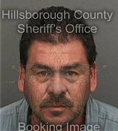 Carlos Escalanteguardabo, - Hillsborough County, FL 