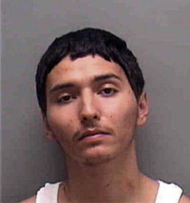 Ricardo Hernandez-Vazquez, - Lee County, FL 