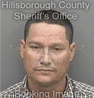 Steven Johnson, - Hillsborough County, FL 