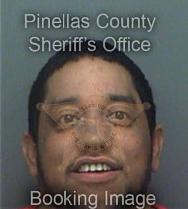 Jose Narvaezreina, - Pinellas County, FL 