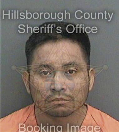 Edgar Bazajaimes, - Hillsborough County, FL 