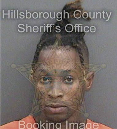 Jeffrey Carlyle, - Hillsborough County, FL 