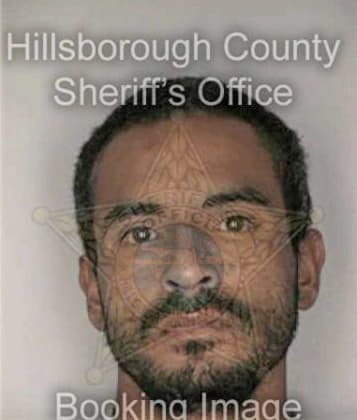 Michael Carpenter, - Hillsborough County, FL 