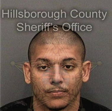 Henry Dawson, - Hillsborough County, FL 