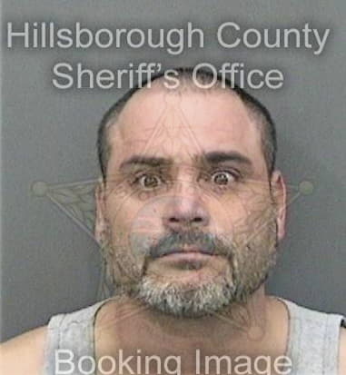 Nomar Hernandezortiz - Hillsborough County, FL 
