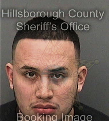 Michael Jenkins, - Hillsborough County, FL 