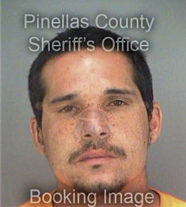 Jeremy Luneack, - Pinellas County, FL 