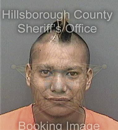 Robert Millan - Hillsborough County, FL 