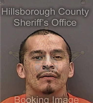 Dallas Roberts - Hillsborough County, FL 