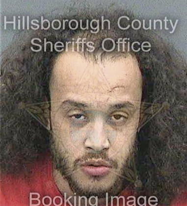 Omar Sanchez-Betancourt, - Hillsborough County, FL 