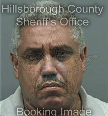 Angel Sanes, - Hillsborough County, FL 