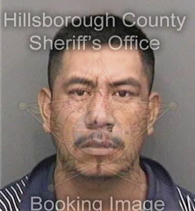 Maurico Valensuslaposada, - Hillsborough County, FL 