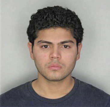 Raul Ahamirano, - Hillsborough County, FL 