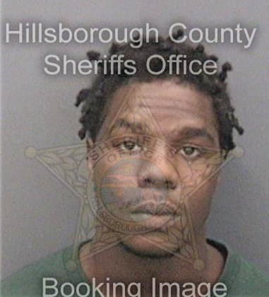 Micheal Davis, - Hillsborough County, FL 