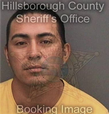 Dale Dietrich, - Hillsborough County, FL 