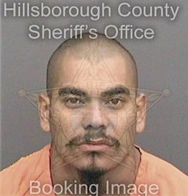 Orlando Ferreria, - Hillsborough County, FL 