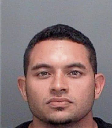 Raul Maganaherrera, - Pinellas County, FL 