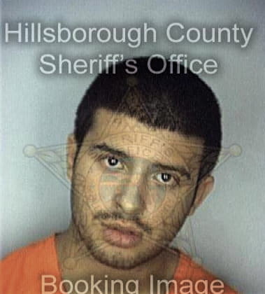 Carlos Ortiz, - Hillsborough County, FL 