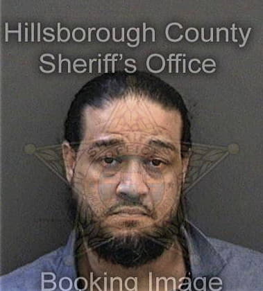 Pedro Pagansantiago, - Hillsborough County, FL 