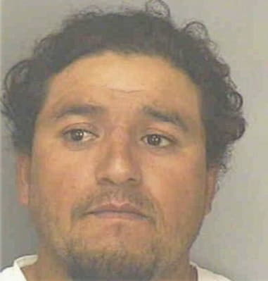David Weeks - Polk County, FL 