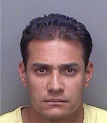 Carlos Arruda, - Pinellas County, FL 