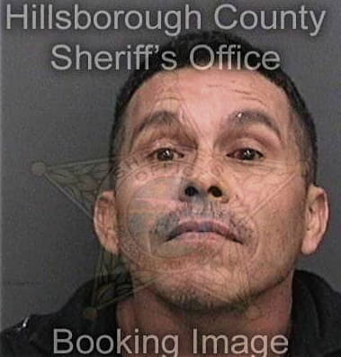 Reynaldo Castro-Lazaro, - Hillsborough County, FL 