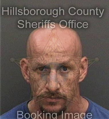 Ryan Haley, - Hillsborough County, FL 