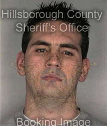 Alesandro Hernandezcasique - Hillsborough County, FL 