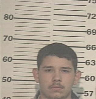 Fidencio Izaguirre, - Hidalgo County, TX 