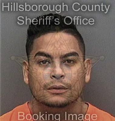 Mark McFillen - Hillsborough County, FL 