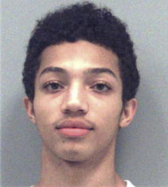 Matthew Mitchell - Gwinnett County, GA 
